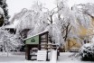 Jeux enfants hiver