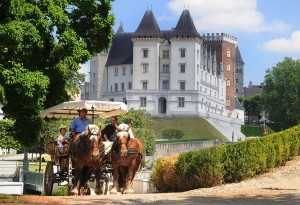 Le château de Pau et son quartier historique