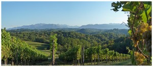 Les vignobles du Jurançon